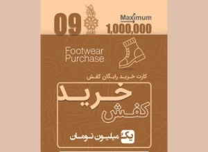 کفش.